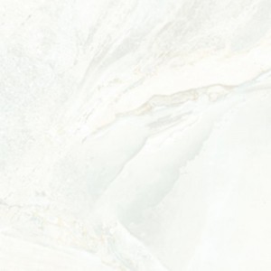 Gạch lát sàn Trường Thịnh SIMPLICITY TT6601